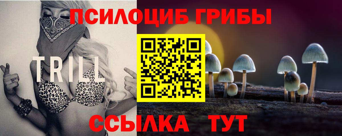 Псилоцибиновые грибы ЛСД Тайшет